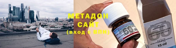 прущие грибы Нягань