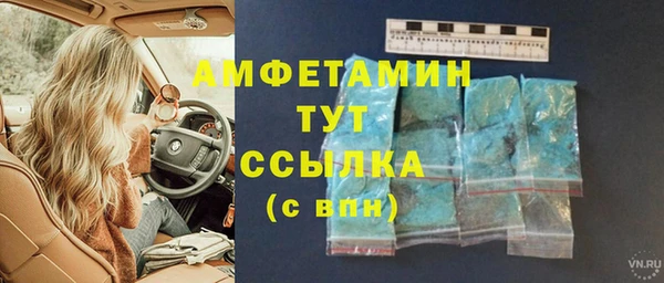 прущие грибы Нягань