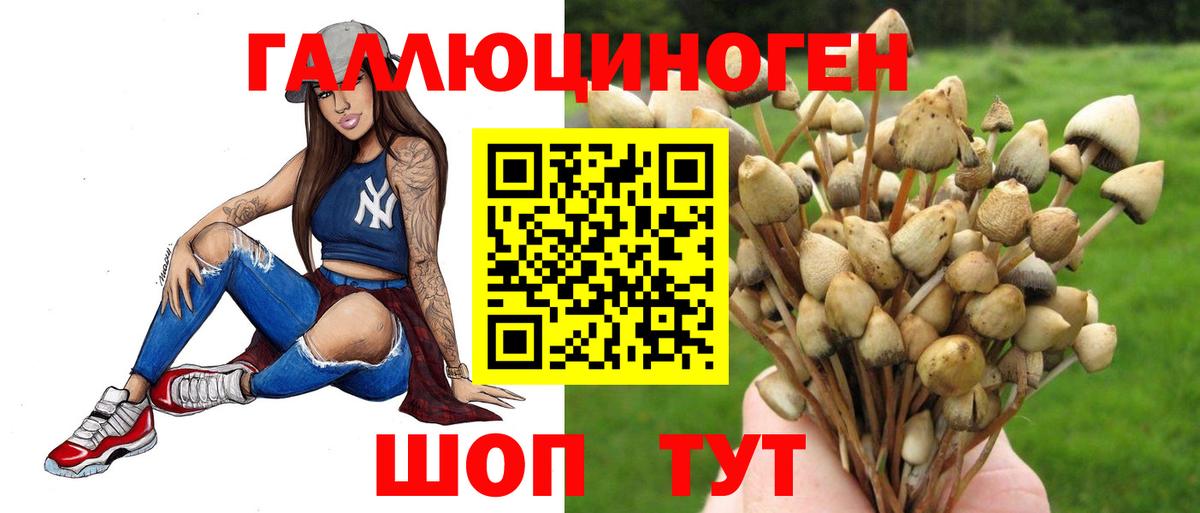 Псилоцибиновые грибы Magic Shrooms Лангепас